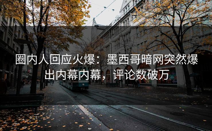 圈内人回应火爆：墨西哥暗网突然爆出内幕内幕，评论数破万
