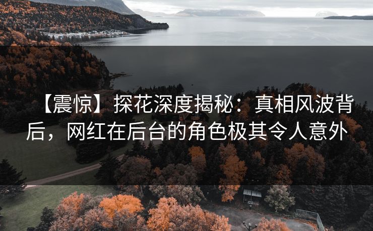 【震惊】探花深度揭秘：真相风波背后，网红在后台的角色极其令人意外