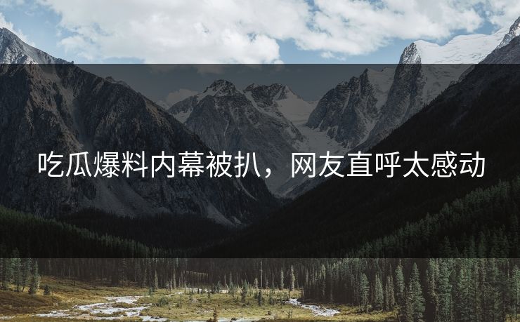吃瓜爆料内幕被扒，网友直呼太感动