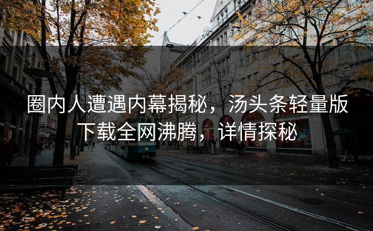 圈内人遭遇内幕揭秘，汤头条轻量版下载全网沸腾，详情探秘