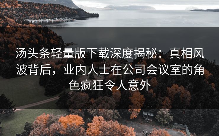 汤头条轻量版下载深度揭秘：真相风波背后，业内人士在公司会议室的角色疯狂令人意外