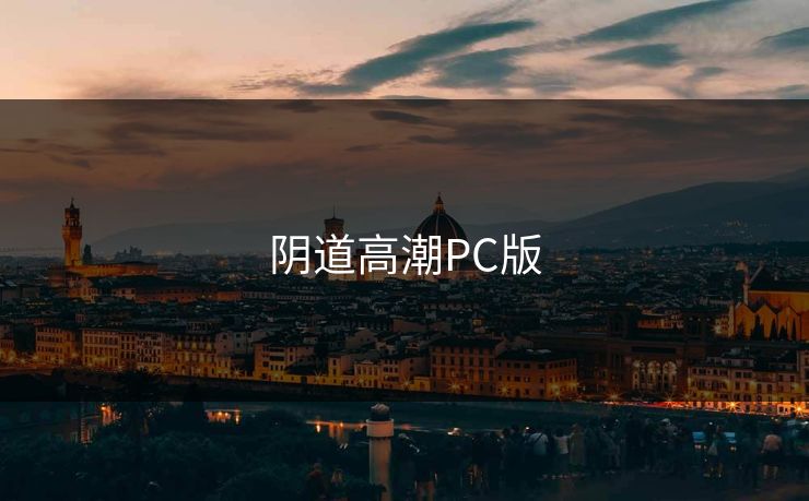 阴道高潮PC版